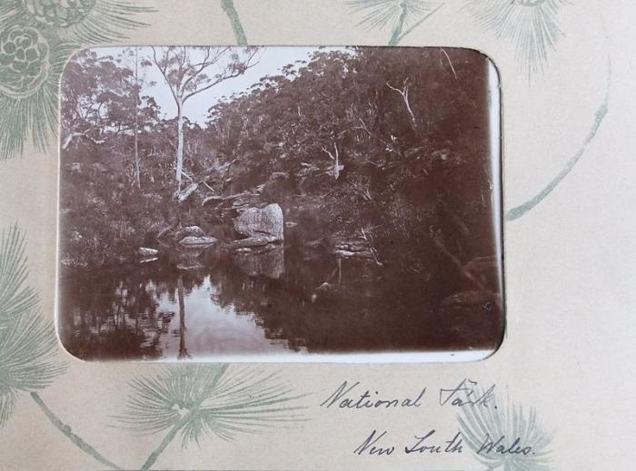 DrRPfeiffer-1899 120